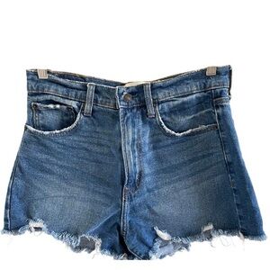 Abercrombie & Fitch Blue Distressed Jean Shorts